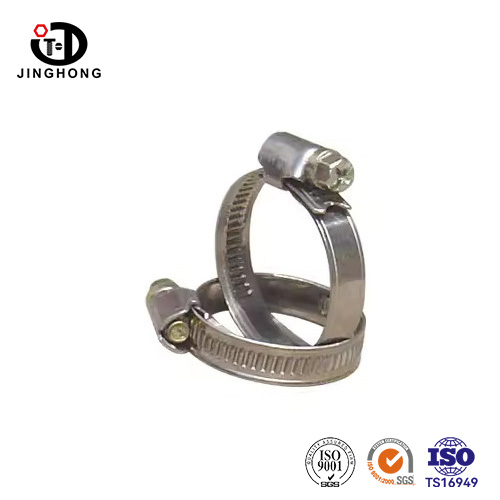 DIN 3017 Bolt Bolt Hose Clap